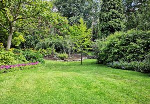 Optimiser l'expérience du jardin à Villers-Helon